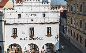 Hotel Bílý Koníček